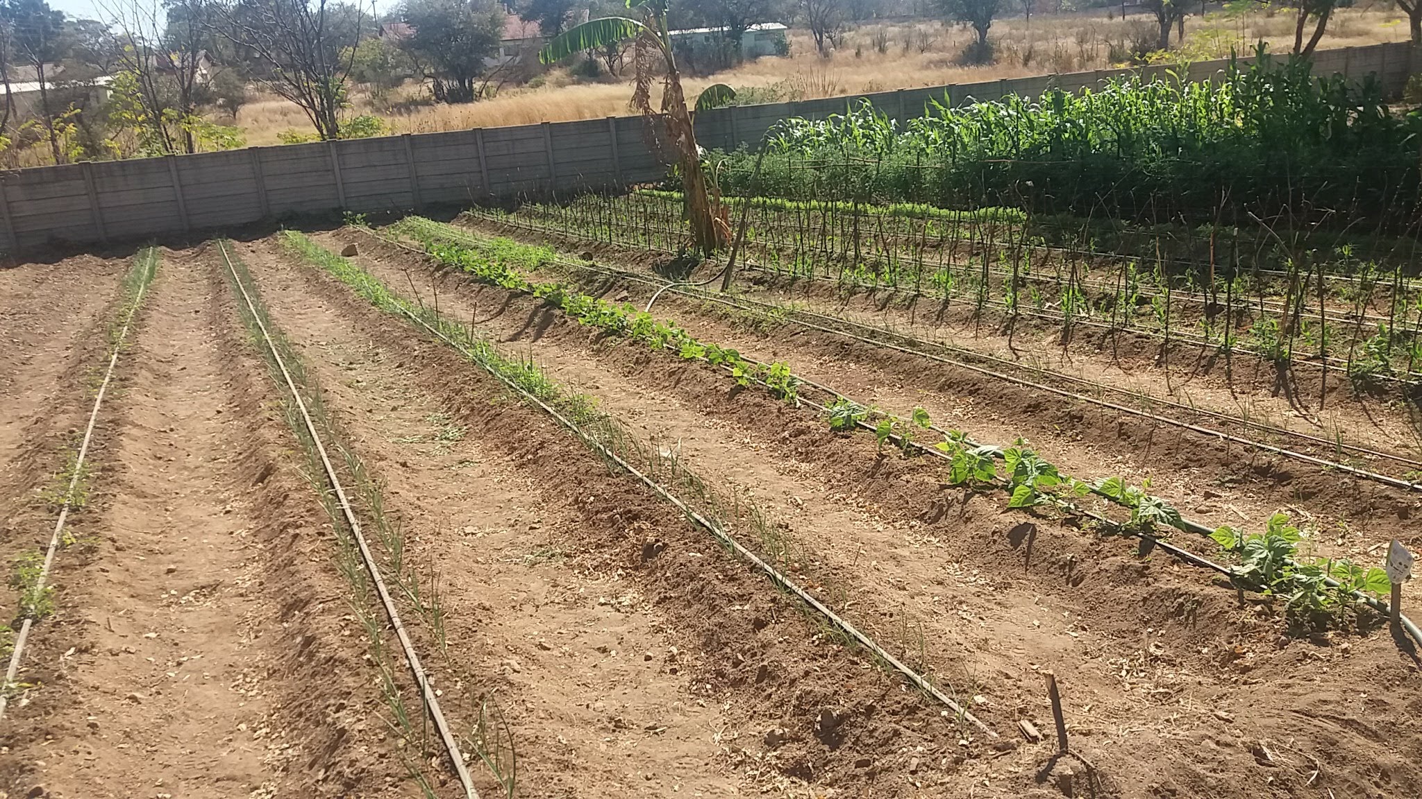 irrigation system – 02 irrigation system - 02