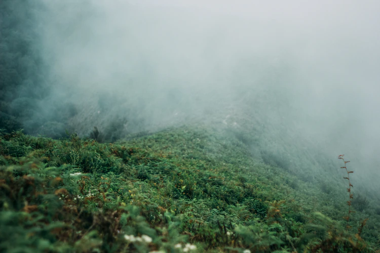 weatherprediction weatherprediction