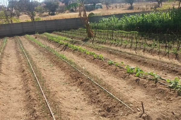 irrigation system – 02 irrigation system - 02