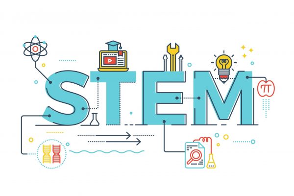 stem