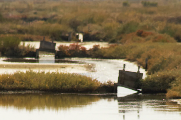 water managment